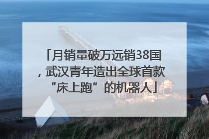 月销量破万远销38国，武汉青年造出全球首款“床上跑”的机器人