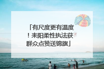 有尺度更有温度！耒阳柔性执法获群众点赞送锦旗
