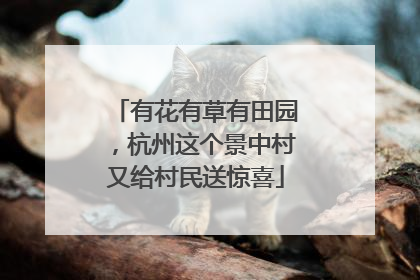 有花有草有田园，杭州这个景中村又给村民送惊喜