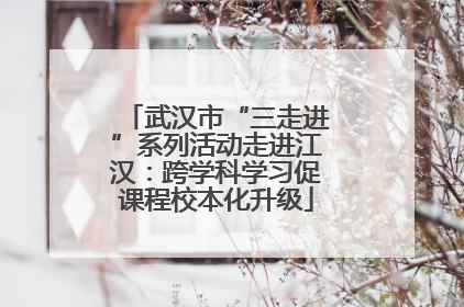 武汉市“三走进”系列活动走进江汉：跨学科学习促课程校本化升级