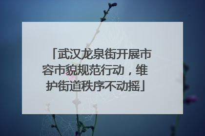 武汉龙泉街开展市容市貌规范行动，维护街道秩序不动摇