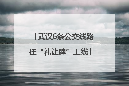 武汉6条公交线路挂“礼让牌”上线