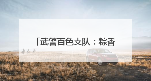武警百色支队：粽香传情谊 团结迎佳节