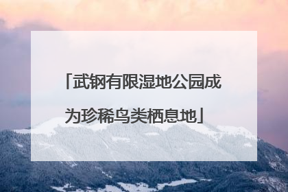 武钢有限湿地公园成为珍稀鸟类栖息地