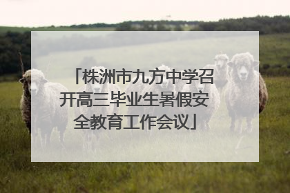 株洲市九方中学召开高三毕业生暑假安全教育工作会议
