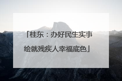 桂东：办好民生实事 绘就残疾人幸福底色