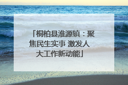 桐柏县淮源镇：聚焦民生实事 激发人大工作新动能
