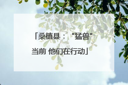 桑植县：“猛兽”当前 他们在行动