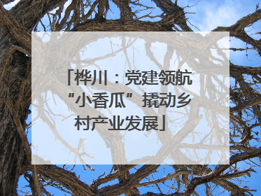 桦川：党建领航“小香瓜”撬动乡村产业发展