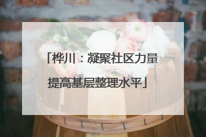 桦川：凝聚社区力量 提高基层整理水平