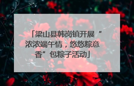 梁山县韩岗镇开展“浓浓端午情，悠悠粽意香”包粽子活动