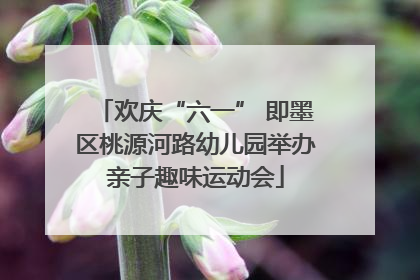 欢庆“六一” 即墨区桃源河路幼儿园举办亲子趣味运动会