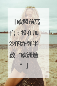 欧盟前高官：投在加沙的炸弹半数“欧洲造”