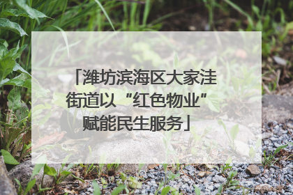 潍坊滨海区大家洼街道以“红色物业”赋能民生服务