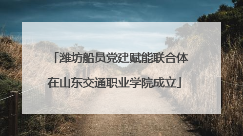 潍坊船员党建赋能联合体在山东交通职业学院成立