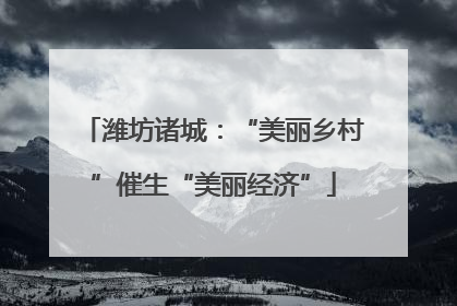潍坊诸城：“美丽乡村”催生“美丽经济”