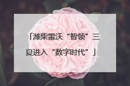 潍柴雷沃“智领”三夏进入“数字时代”