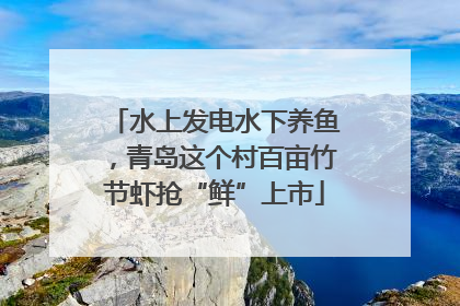 水上发电水下养鱼，青岛这个村百亩竹节虾抢“鲜”上市
