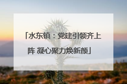 水东镇：党建引领齐上阵 凝心聚力焕新颜