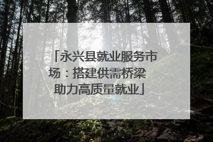 永兴县就业服务市场：搭建供需桥梁 助力高质量就业