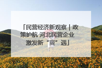 民营经济新观察｜政策护航 河北民营企业激发新“冀”遇