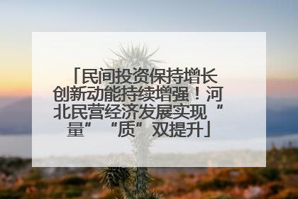 民间投资保持增长 创新动能持续增强！河北民营经济发展实现“量”“质”双提升