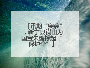 汛期“突袭”，新宁县崀山为国宝朱鹮撑起“保护伞”