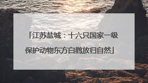 江苏盐城：十六只国家一级保护动物东方白鹳放归自然
