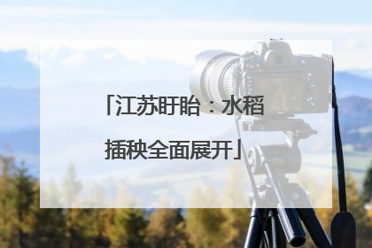 江苏盱眙：水稻插秧全面展开