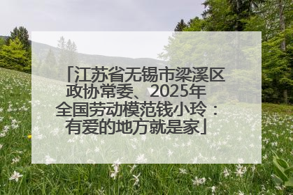 江苏省无锡市梁溪区政协常委、2025年全国劳动模范钱小玲：有爱的地方就是家