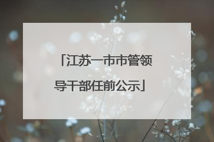 江苏一市市管领导干部任前公示
