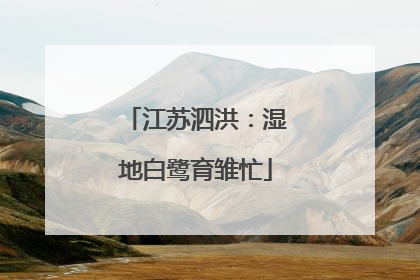 江苏泗洪:湿地白鹭育雏忙