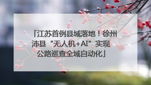 江苏首例县域落地！徐州沛县“无人机+AI”实现公路巡查全域自动化