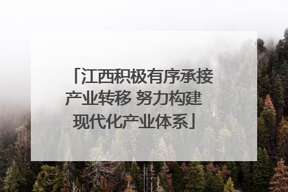 江西积极有序承接产业转移 努力构建现代化产业体系