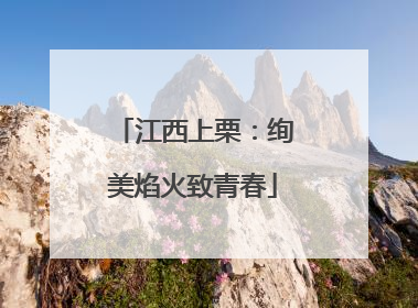 江西上栗：绚美焰火致青春