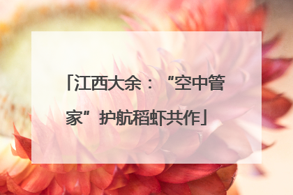 江西大余：“空中管家”护航稻虾共作