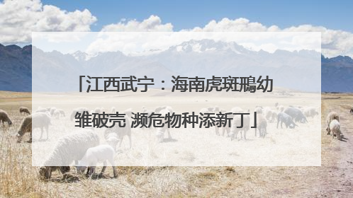 江西武宁：海南虎斑鳽幼雏破壳 濒危物种添新丁