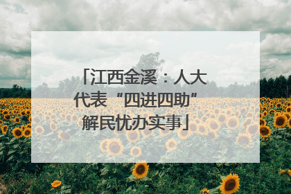 江西金溪：人大代表“四进四助”解民忧办实事