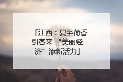 江西：夏至荷香引客来 “美丽经济”添新活力