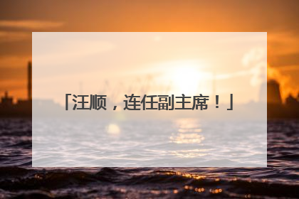 汪顺，连任副主席！