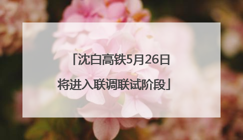 沈白高铁5月26日将进入联调联试阶段