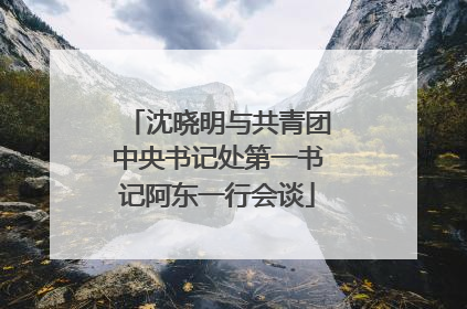 沈晓明与共青团中央书记处第一书记阿东一行会谈