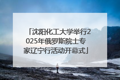 沈阳化工大学举行2025年俄罗斯院士专家辽宁行活动开幕式