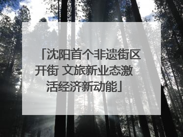 沈阳首个非遗街区开街 文旅新业态激活经济新动能