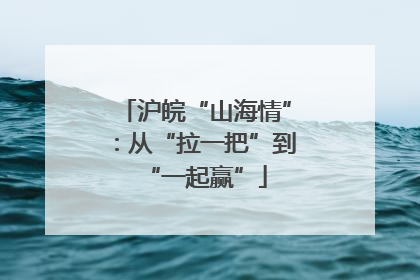 沪皖“山海情”：从“拉一把”到“一起赢”