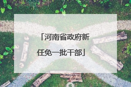 河南省政府新任免一批干部