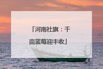 河南社旗：千亩蓝莓迎丰收