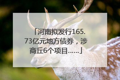 河南拟发行165.73亿元地方债券，涉商丘6个项目……