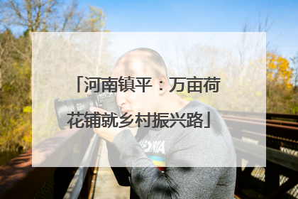 河南镇平：万亩荷花铺就乡村振兴路