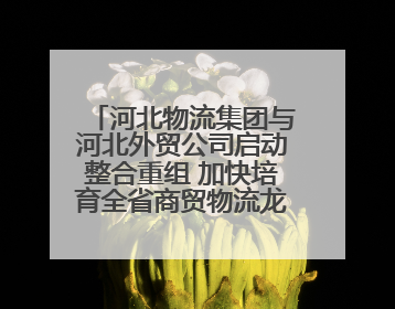 河北物流集团与河北外贸公司启动整合重组 加快培育全省商贸物流龙头企业